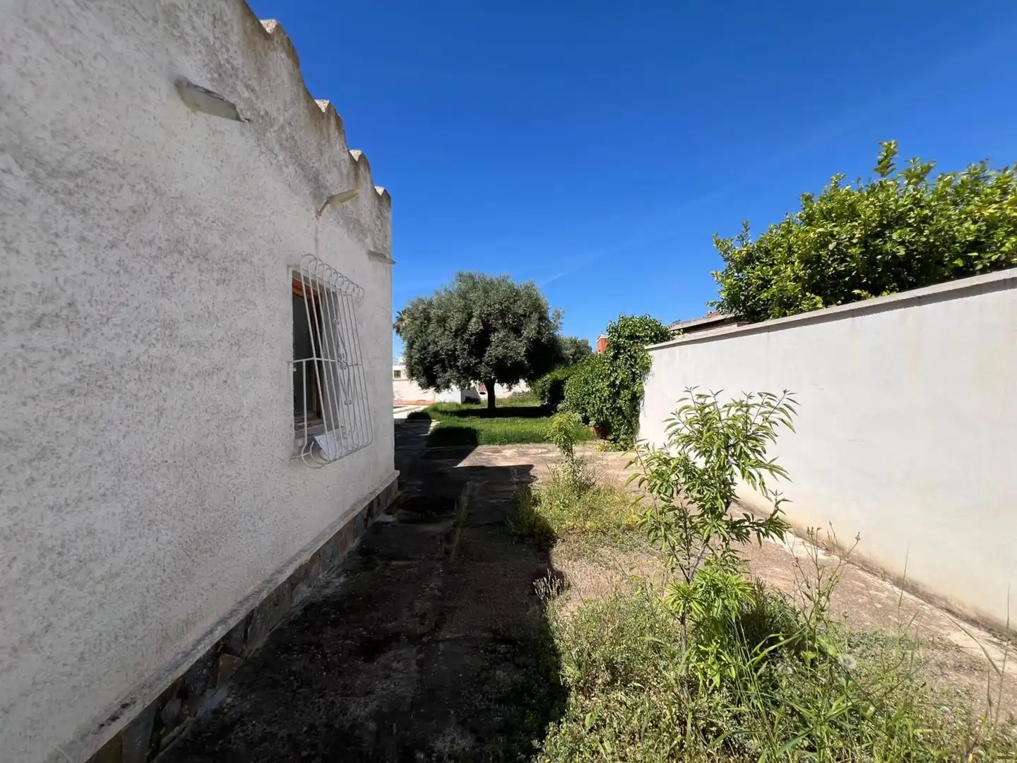 Jardín de Casa o chalet en venta en Torrevieja con Terraza y Amueblado
