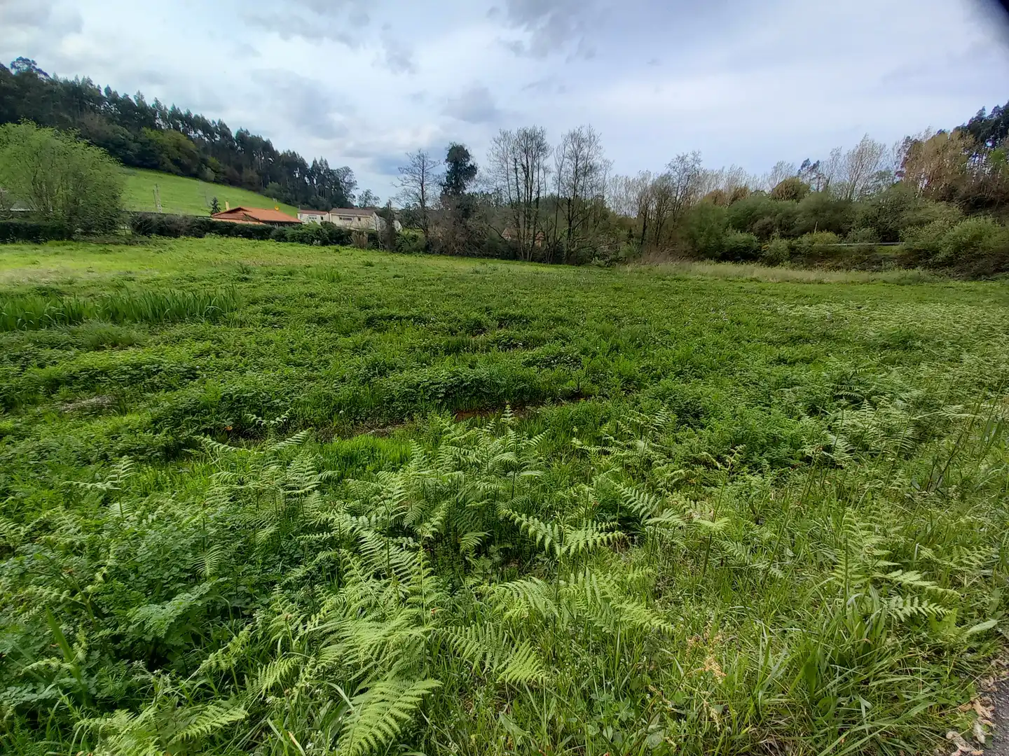 Terreno en venta en N/A, 28, Pillarno