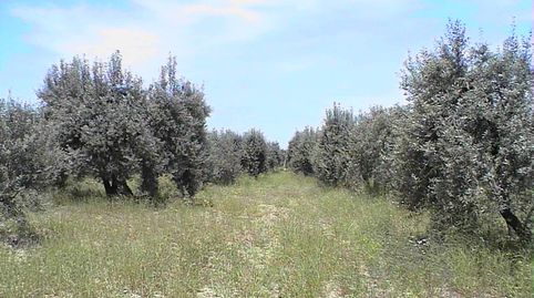 Photo 2 of Country homes for sale in Barillas, Navarra