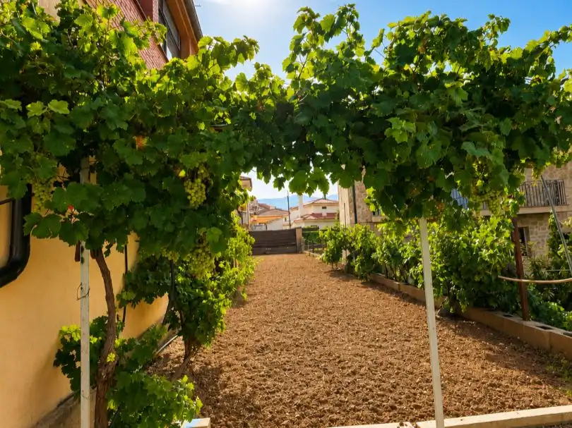 Garden of Houses for sale in Horta de Sant Joan  with Air Conditioner, Terrace and Swimming Pool
