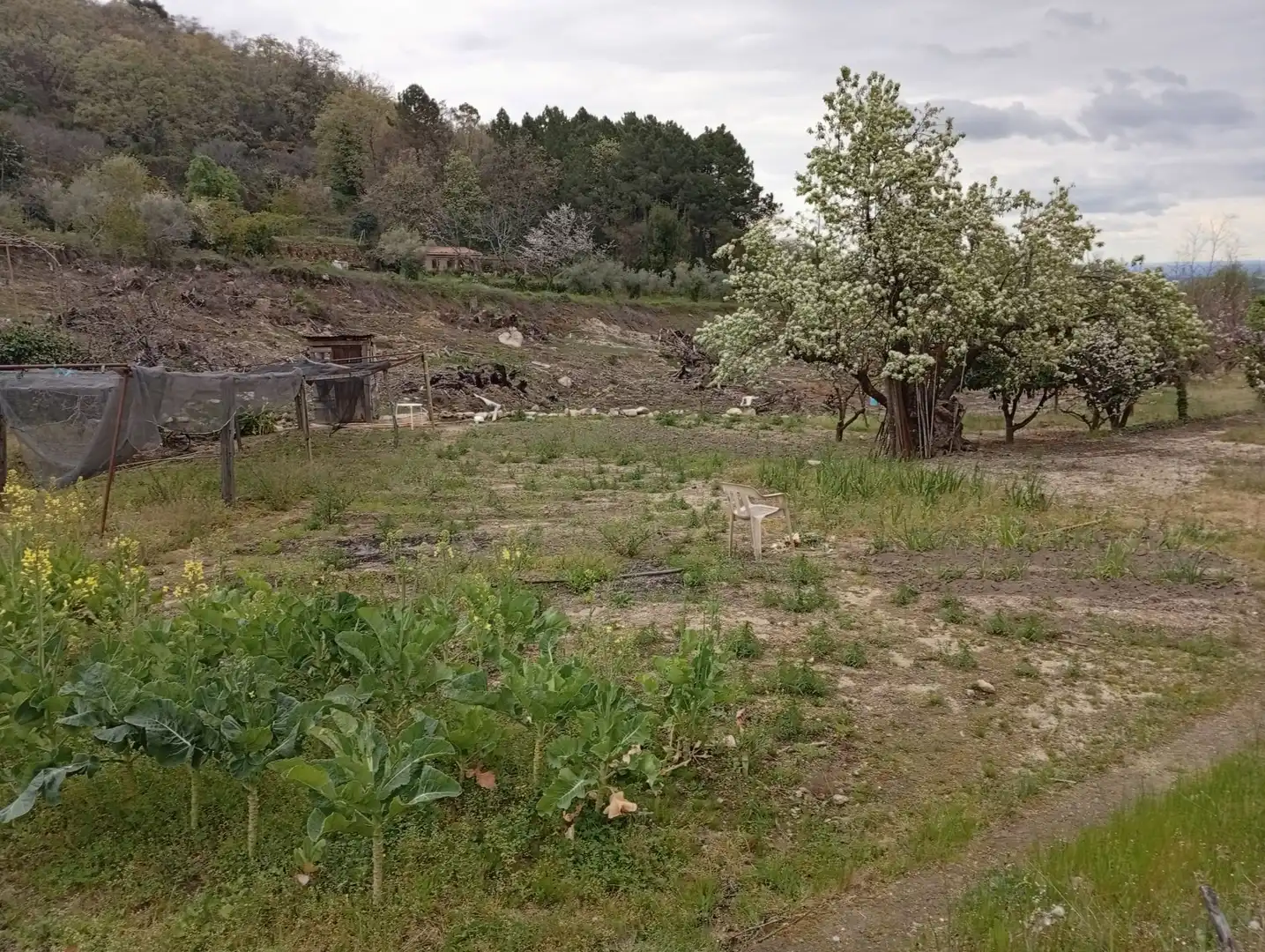 Terreni e lotti in vendita a Villanueva de la Vera, imagen 24