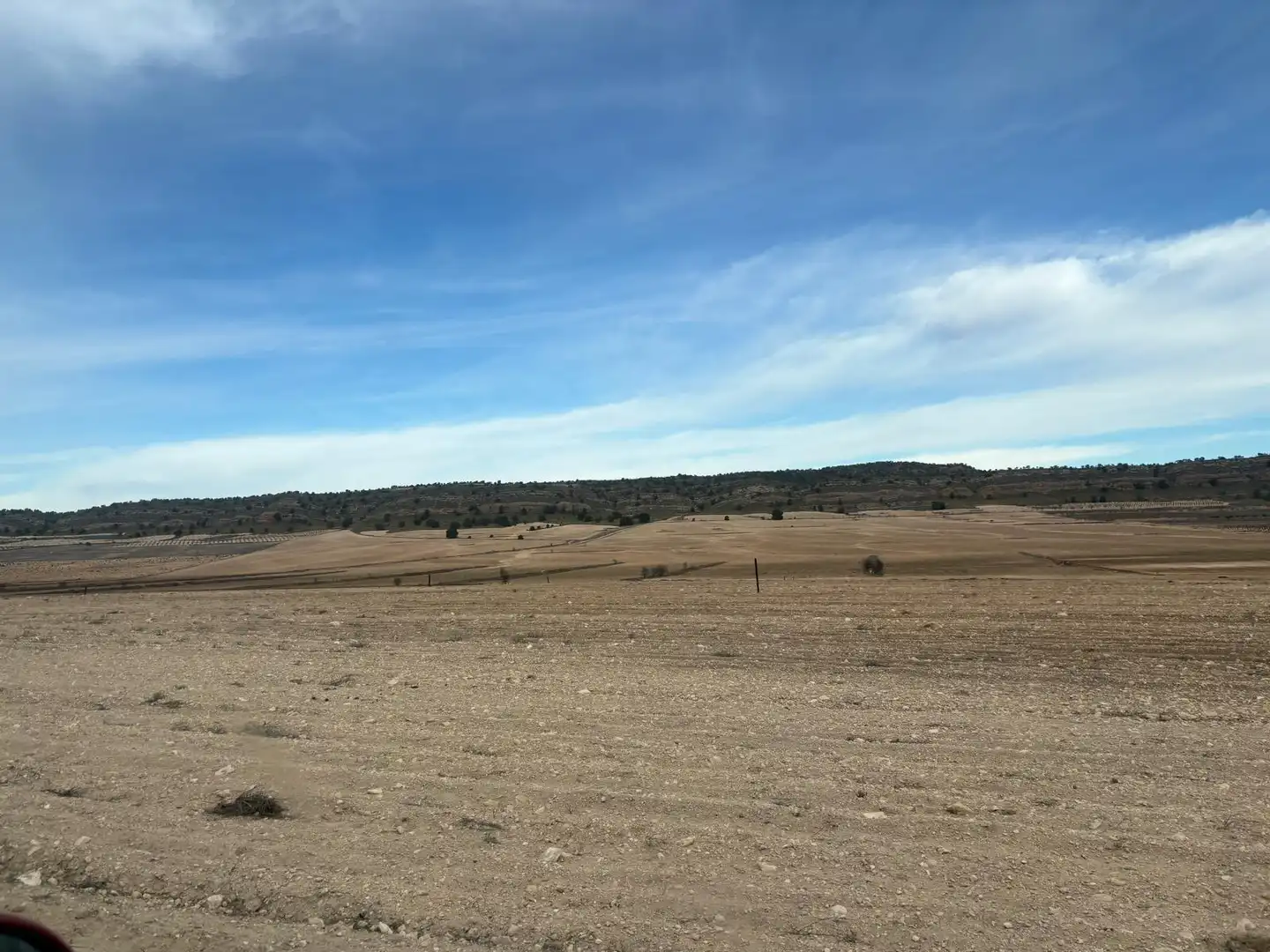 Finca rústica en venta en Ontur