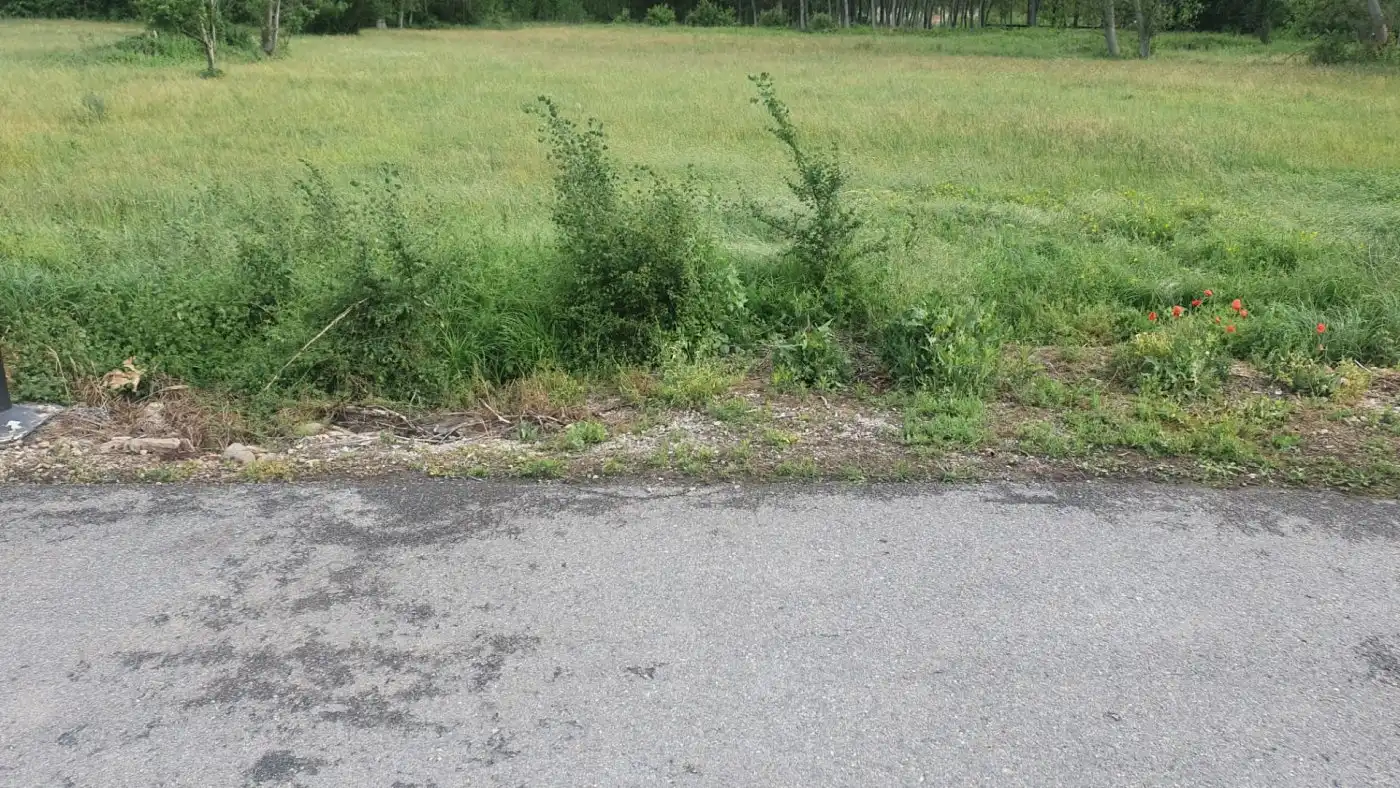 Terreni e lotti in vendita a Congosto