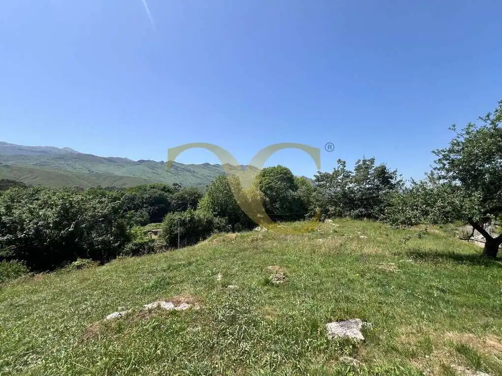 Casa con jardín en venta en San Roque del Acebal, imagen 13