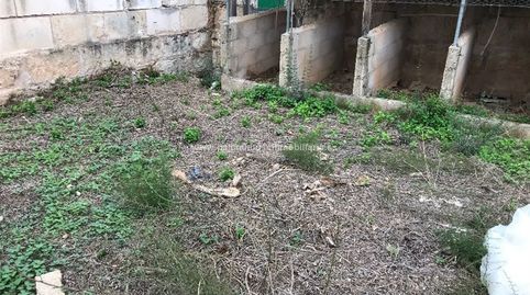 solar centrico en Muro, immagine 3