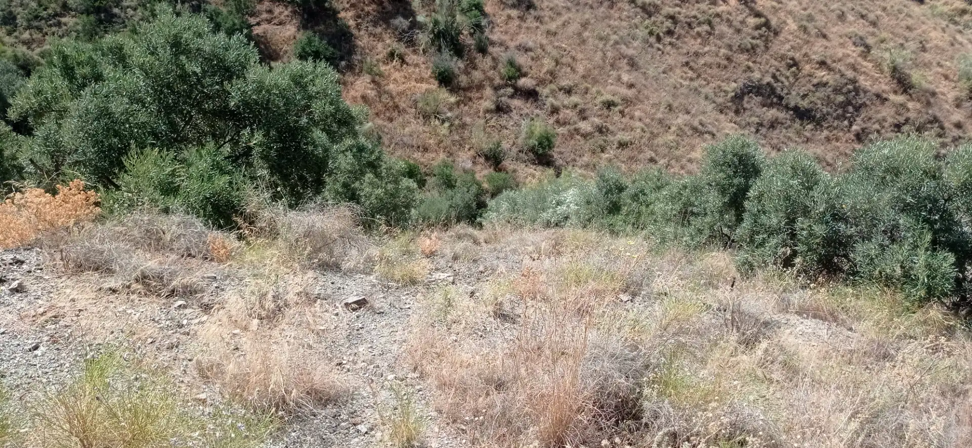 Terreny en venda en Vélez-Málaga