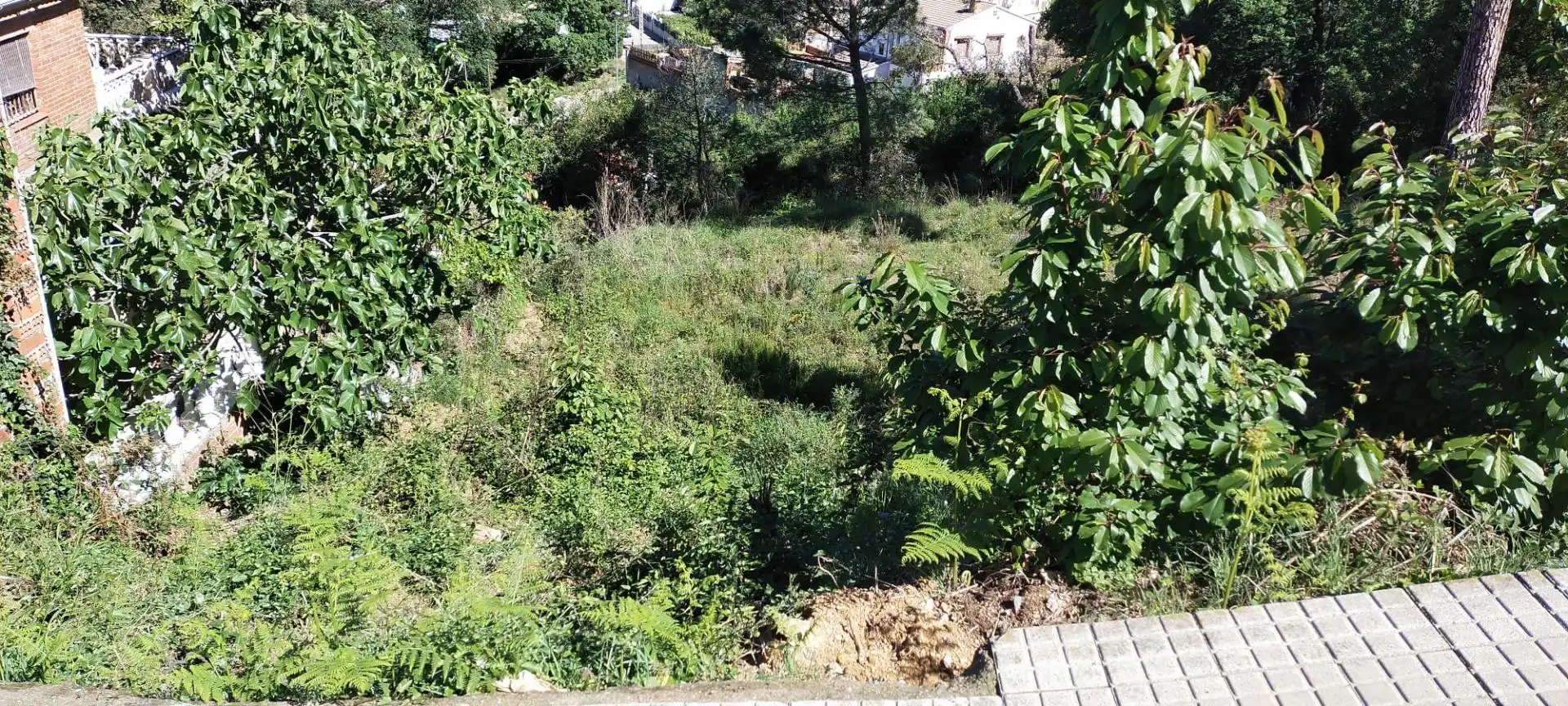 Terrenos y solares en venta en Riudarenes