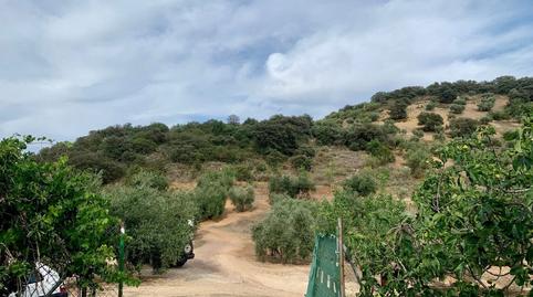 Foto 5 de Finca rústica en venda a Zagra, Granada