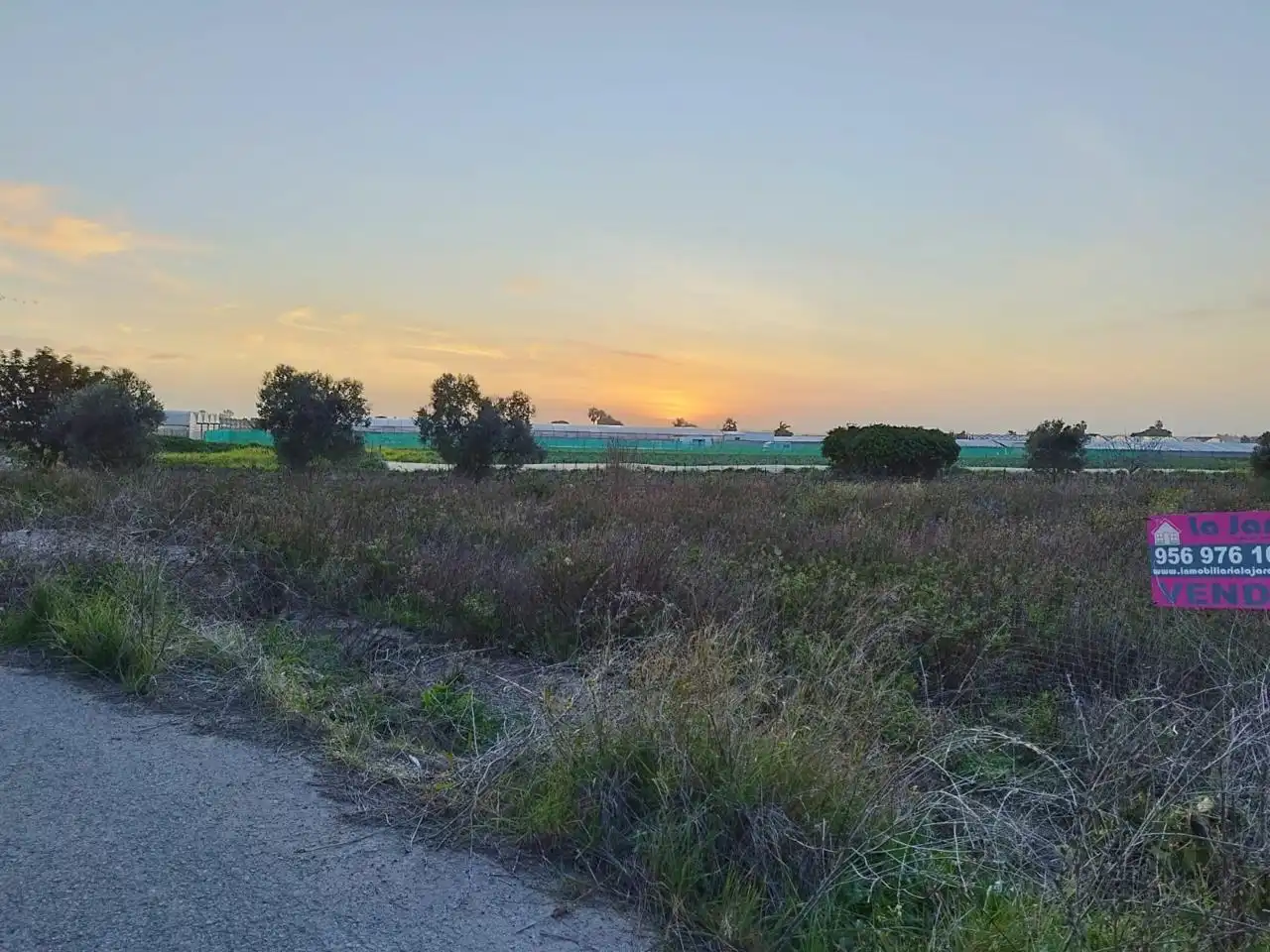 Terreni e lotti in vendita a De La Reyerta, imagen 2