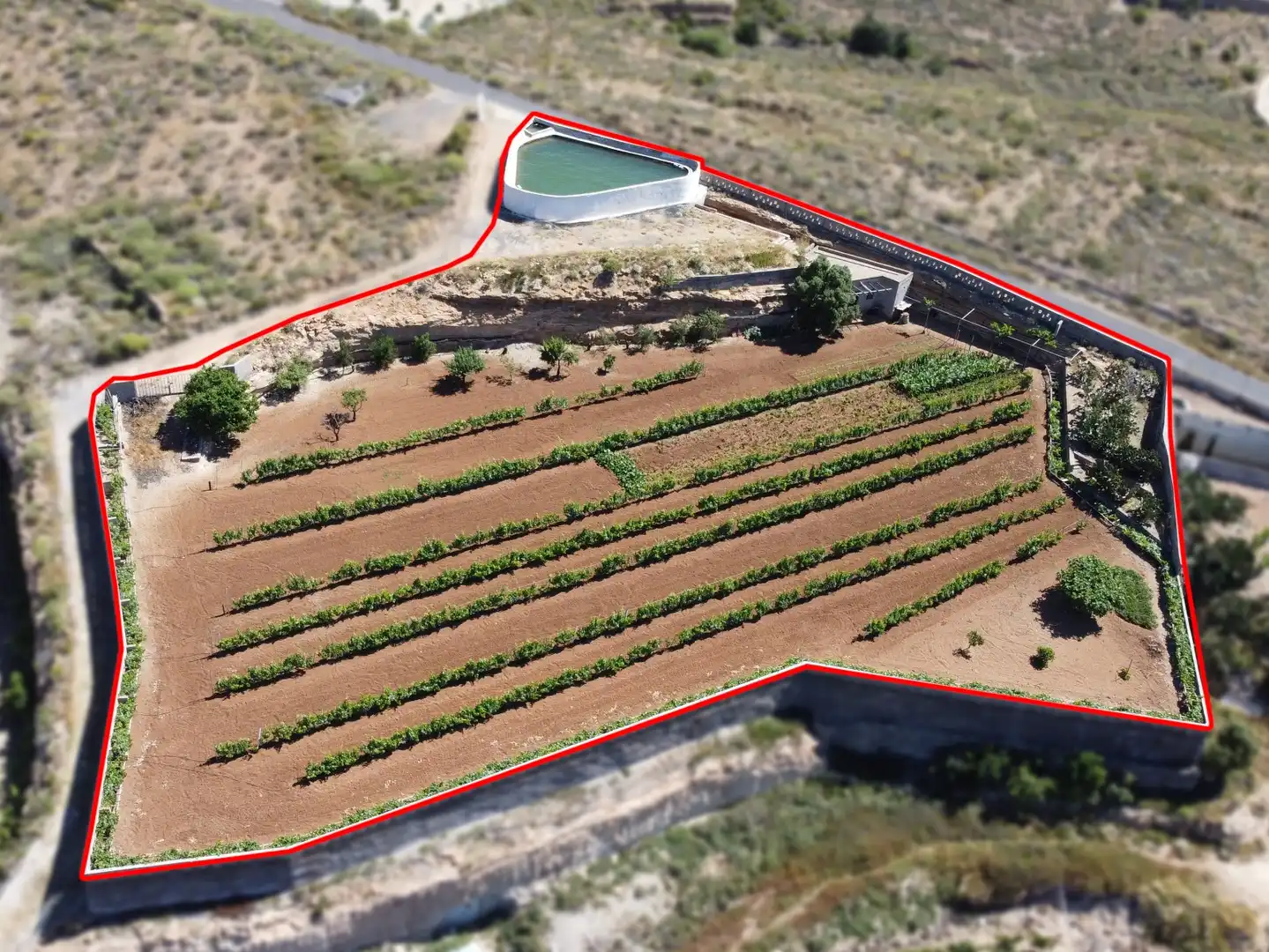 Terreno rustico in vendita a N/A, imagen 3