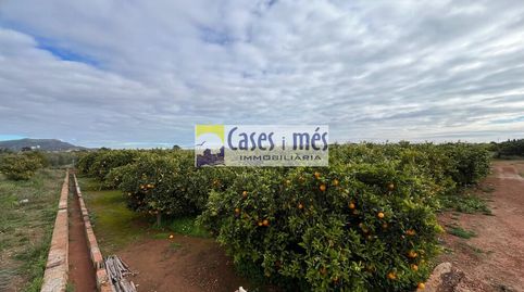 Foto 4 de Terreno en venta en Rafelbuñol / Rafelbunyol, Valencia