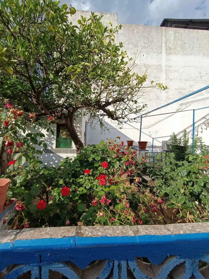 Casa en venta en Villanueva de la Serena, imagen 16