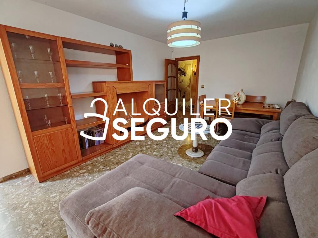 Living room of Flat to rent in Alicante / Alacant  with Terrace and Furnished