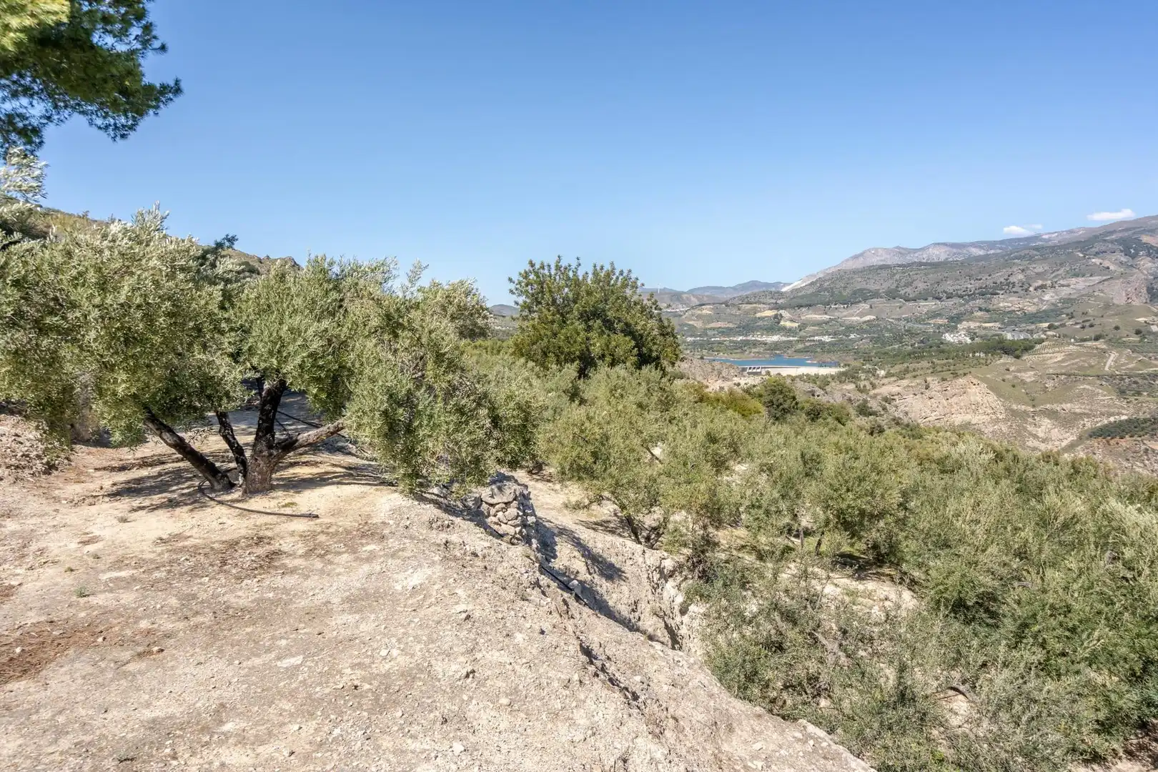 Terreno en venta en El Pinar
