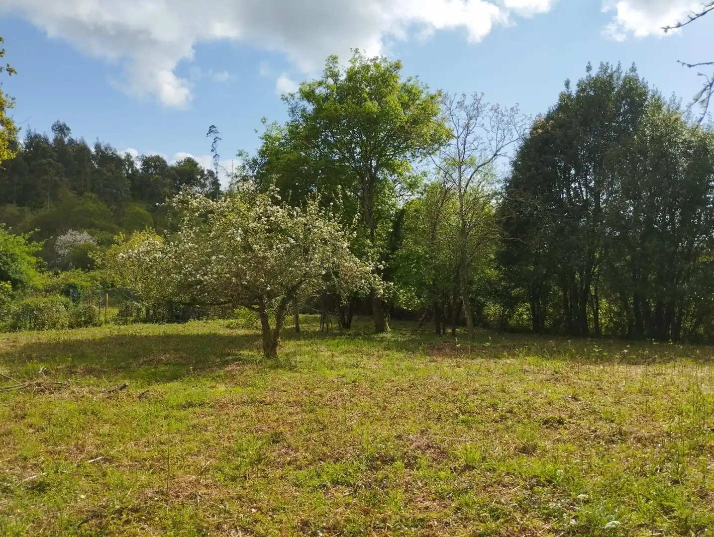 Detached homes for sale in Cabanas  with Private garden