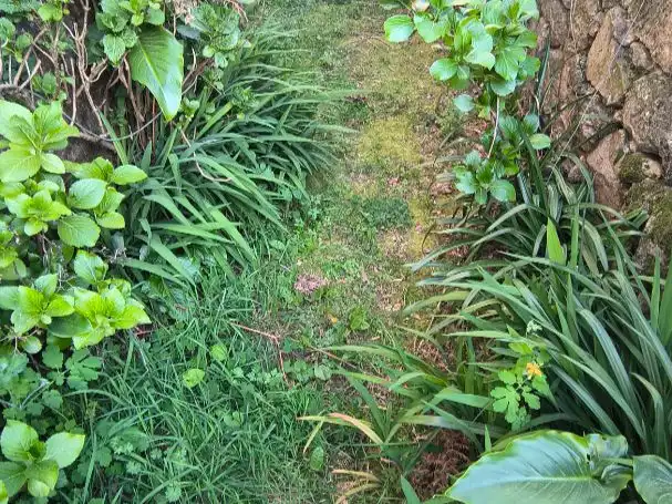 Casa o xalet en venda en A Cañiza   amb Terrassa i Balcó