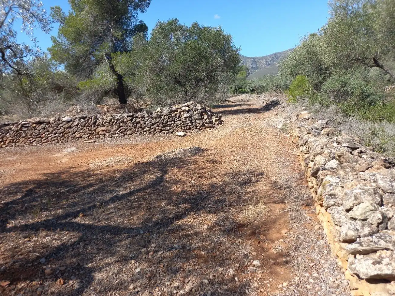 Terrain rustique à vendre à Rasquera, imagen 16
