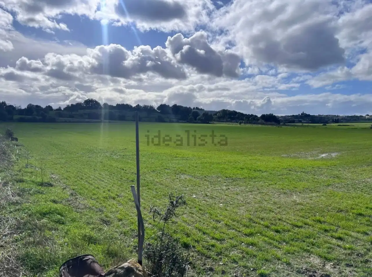 Terreny rústic en venda a Maria de la Salut, imagen 4