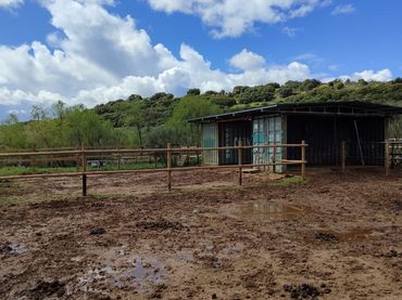 Rural land for sale in Pino Alto - Navarredonda