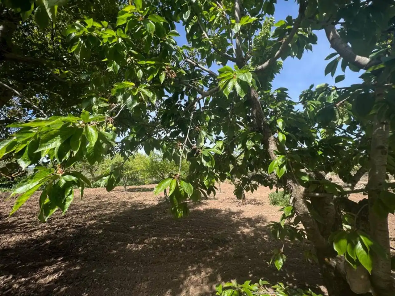 Chalet con jardín en venta en Calle Poligono, imagen 15