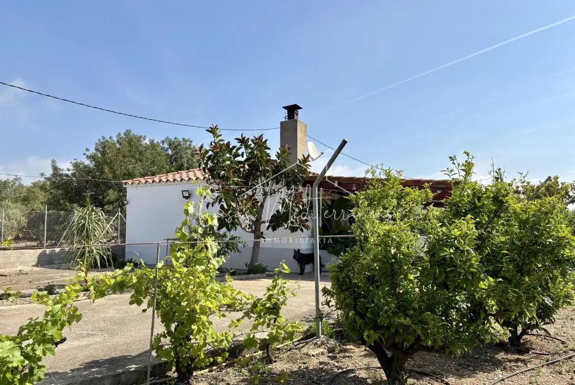 Vista exterior de Finca rústica en venda en Mont-roig del Camp amb Aire condicionat, Calefacció i Jardí privat