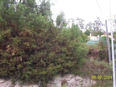 Terrain résidentiel à vendre à Lugar VENTOSA