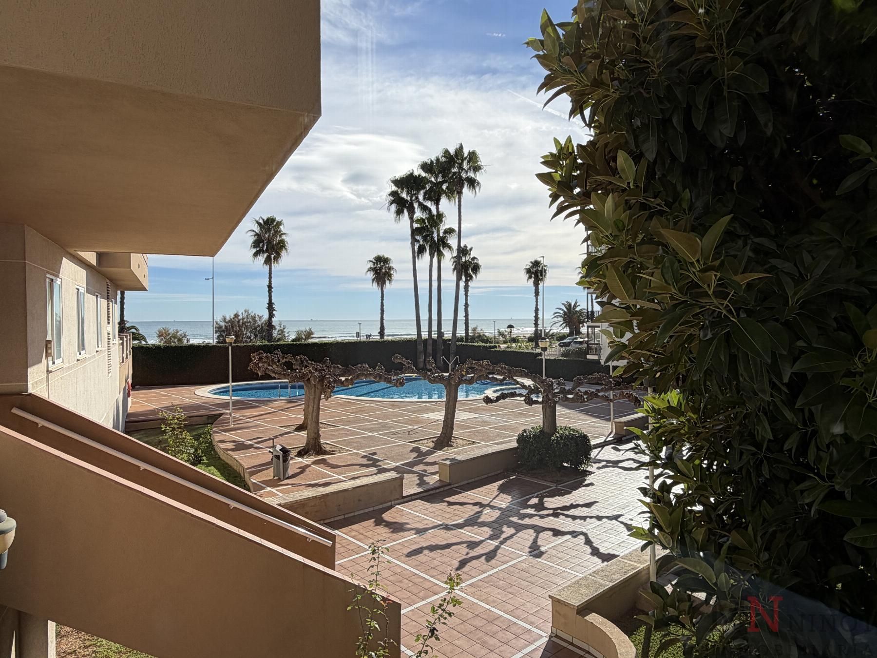 Swimming pool of Apartment to rent in Castellón de la Plana / Castelló de la Plana  with Terrace and Community pool