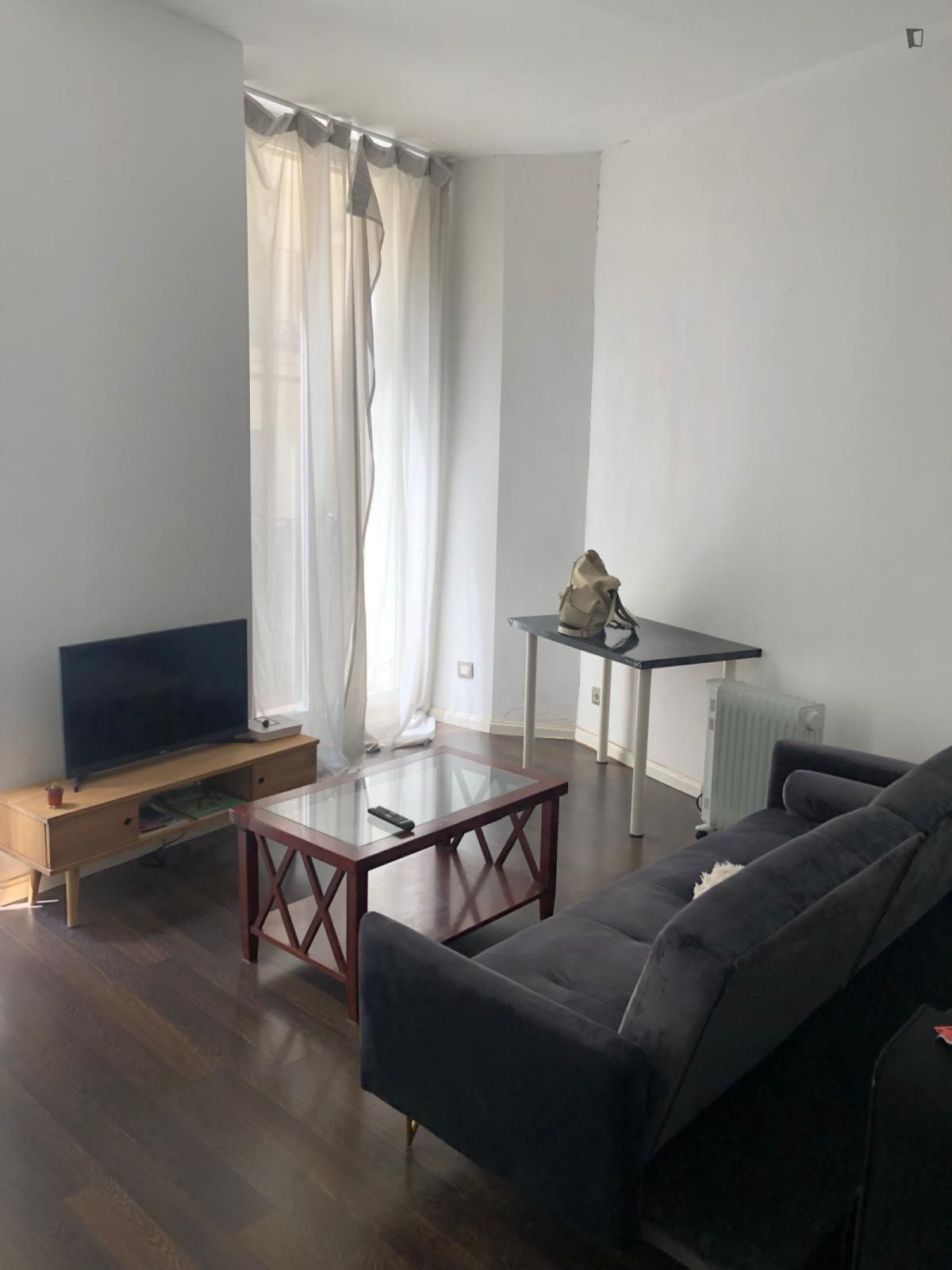 Living room of Apartment for rent in  Madrid Capital  with Furnished and Washing machine