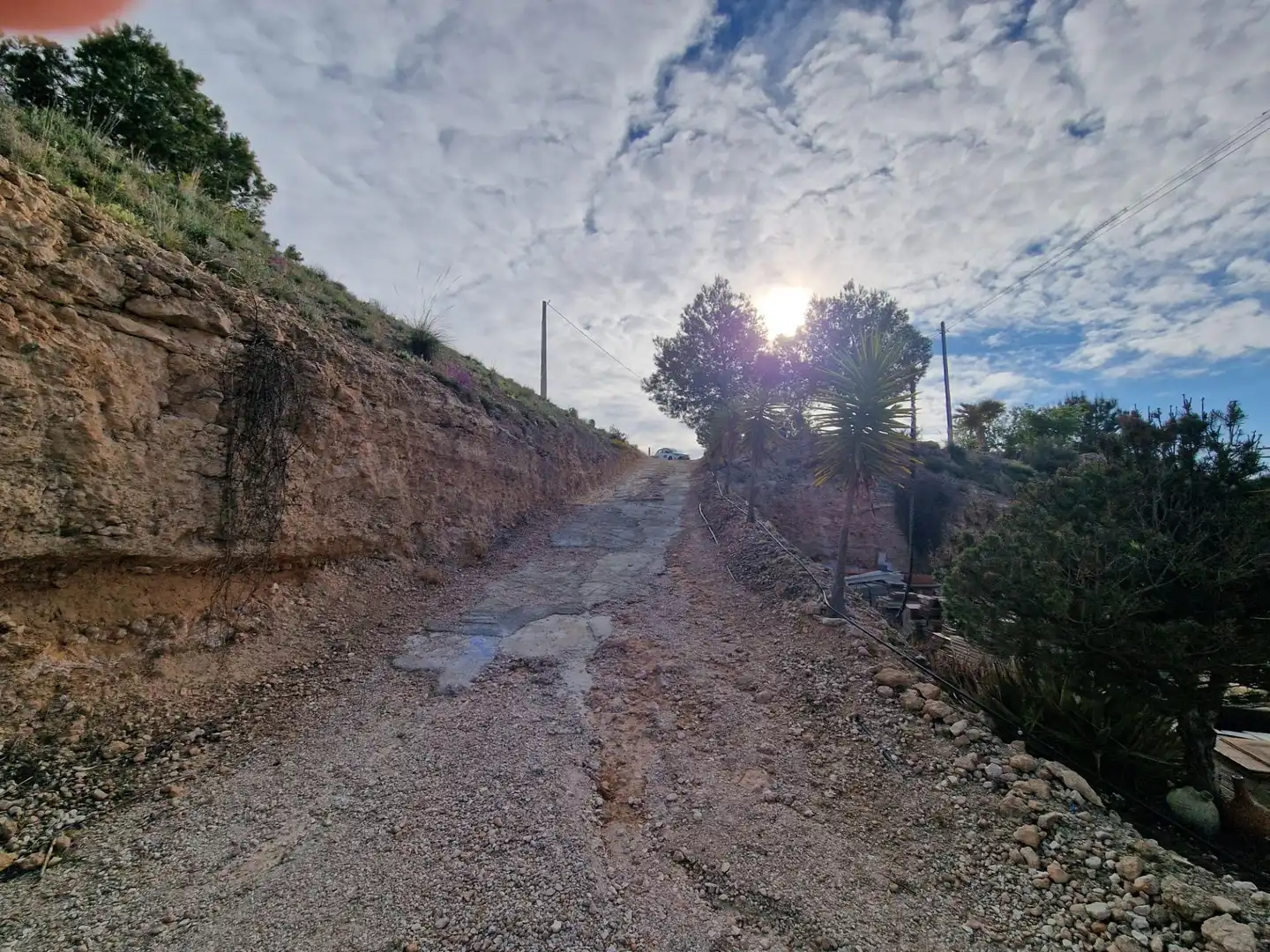 Finca rústica en venda en Hondón de las Nieves / El Fondó de les Neus