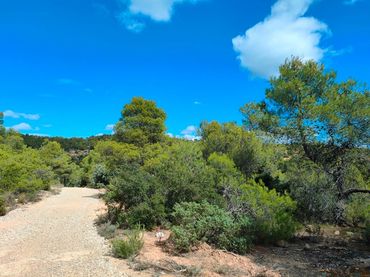 Rural land for sale in La Portellada