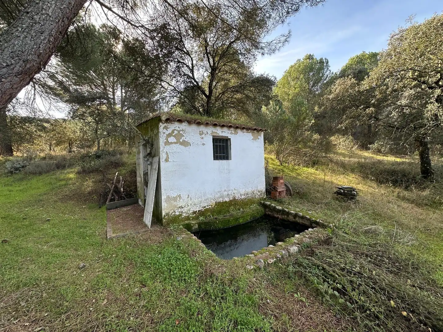 Jardín de Casa o chalet en venta en Villaviciosa de Córdoba con Calefacción, Jardín privado y Terraza