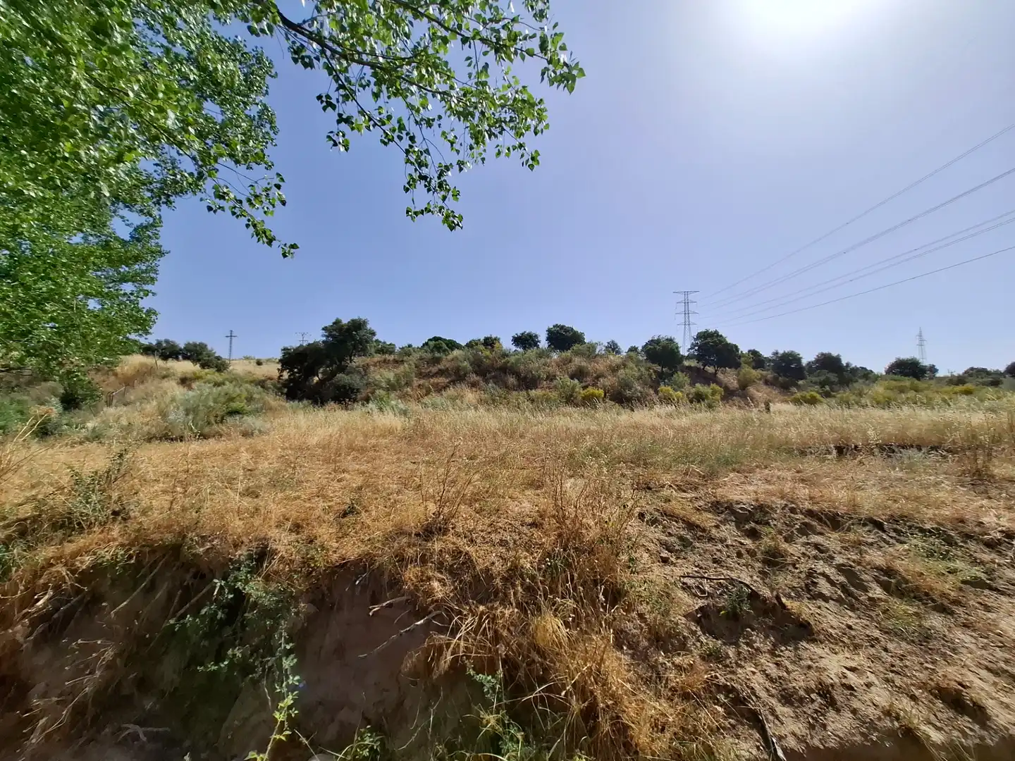 Rural land for sale in Colonia de la Estación