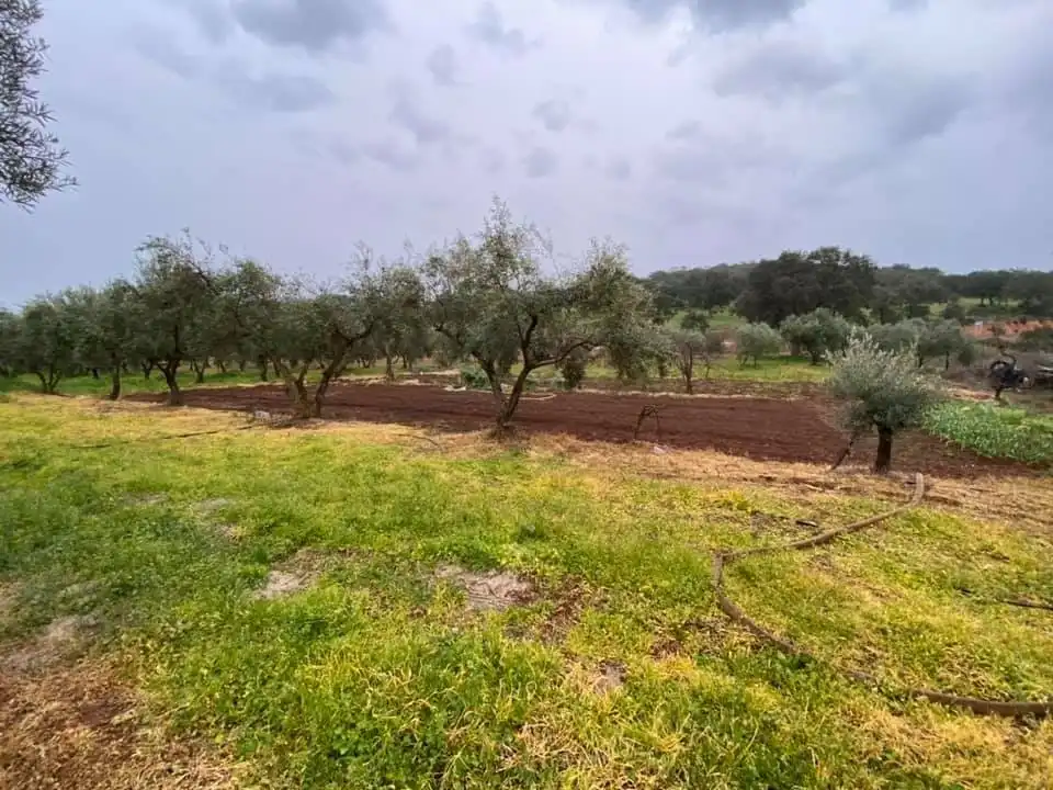 Casa o xalet en venda en La Granjuela amb Calefacció, Jardí privat i Traster