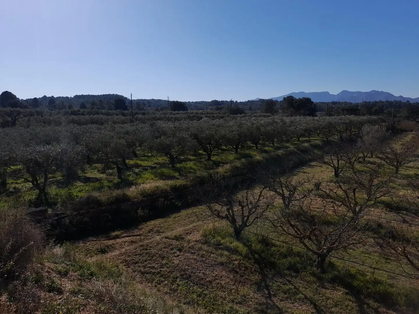 Rural land for sale in Ginestar, imagen 11