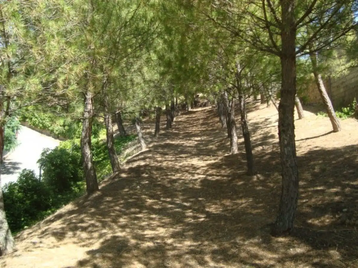 Exterior view of Residential for sale in Loranca de Tajuña