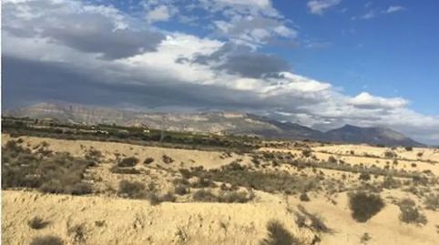 Ulea, (Murcia) Terreno urbanizable en sect Urs-r4, los Juncos de Ulea, Polígono 6., immagine 2