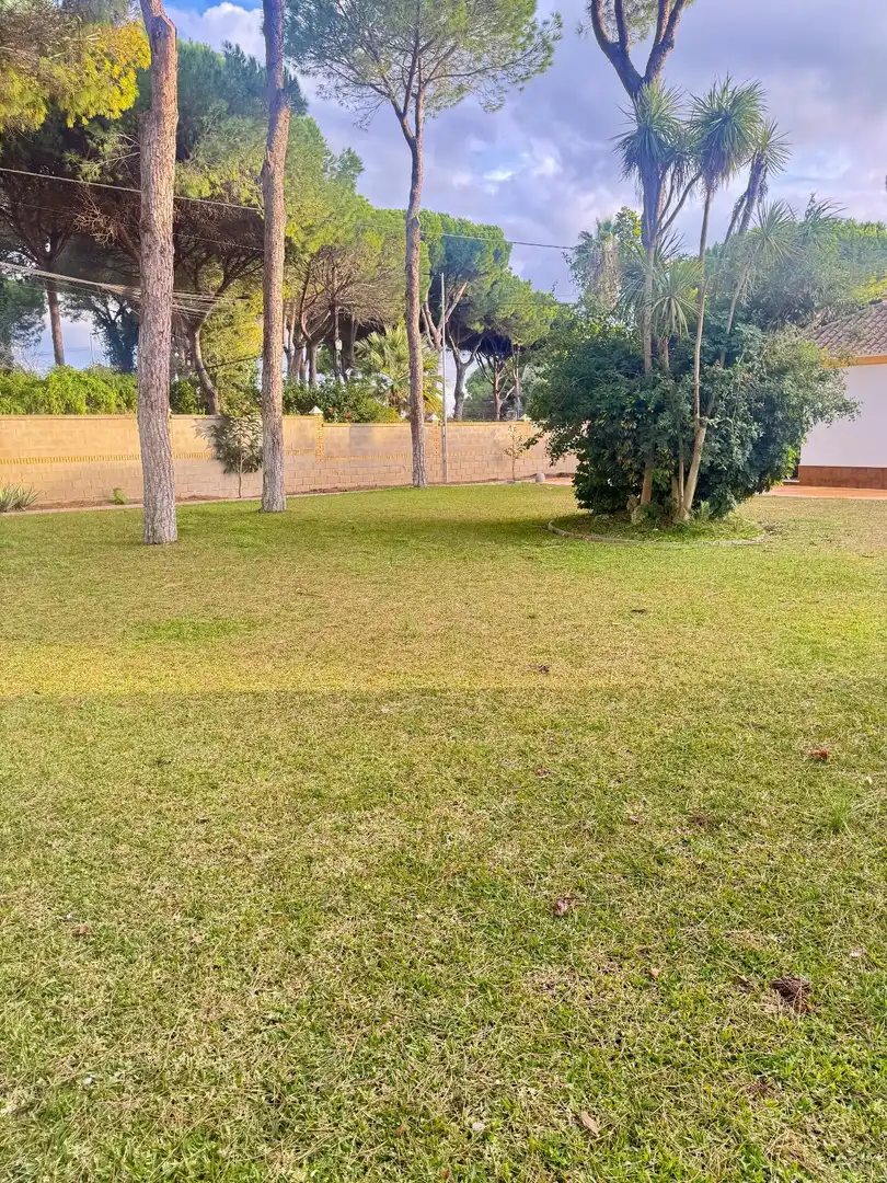 Detached house with pool for sale in Las Lagunas - Campano, imagen 7