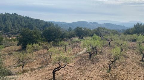 Finca rústica cercana a les useres, immagine 3