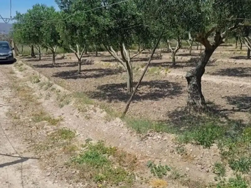 Grundstücke zum Verkauf in Balanegra