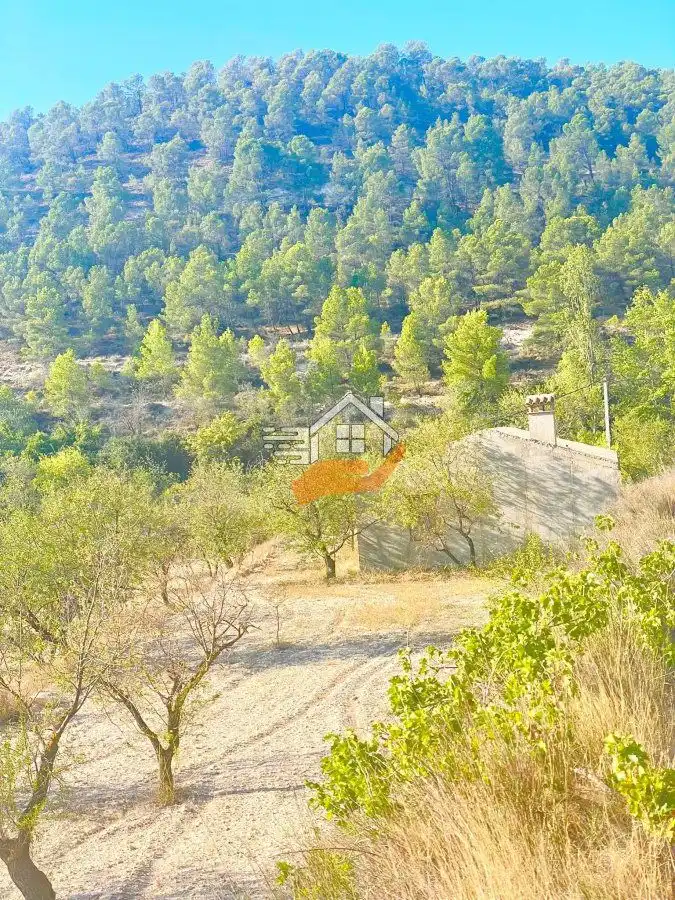 Lands and plots for sale in Vélez-Blanco, imagen 9