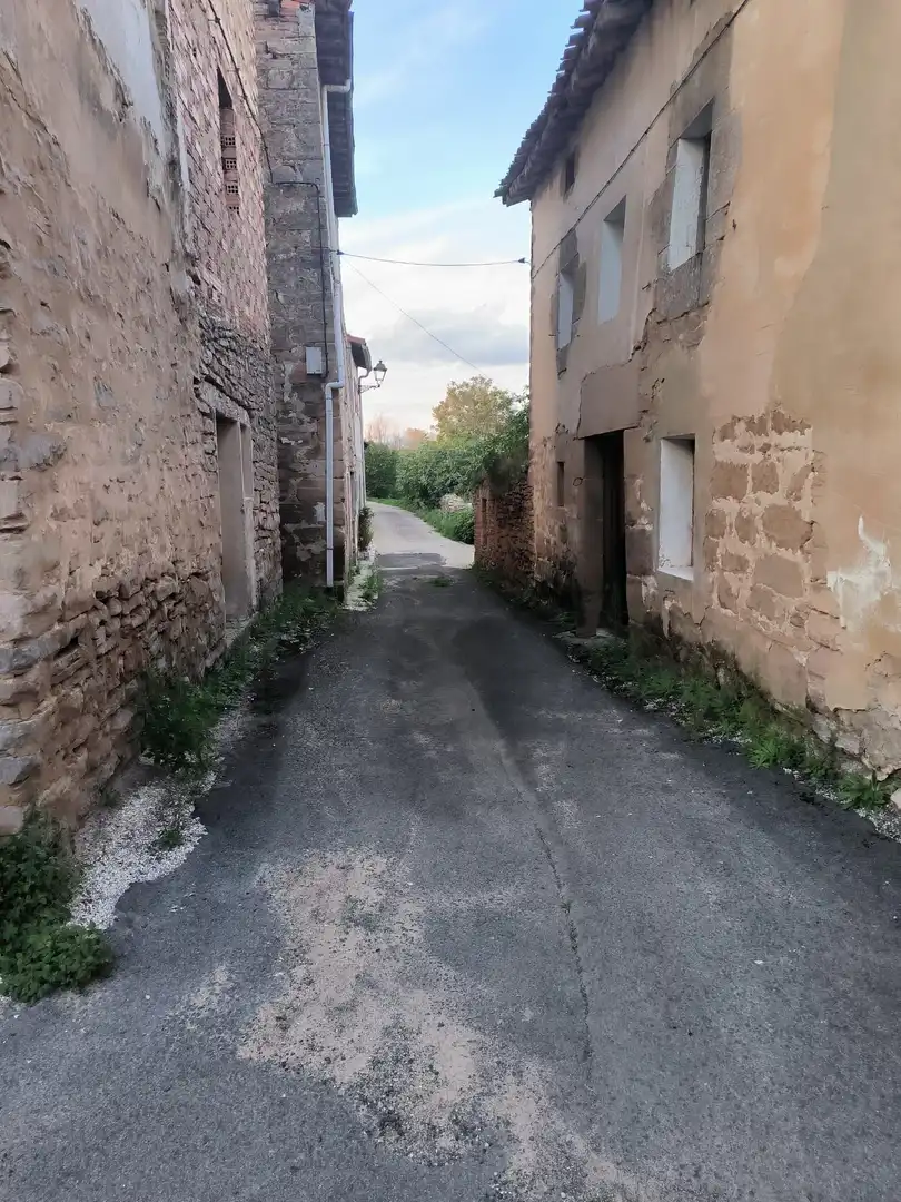 Vista exterior de Casa o xalet en venda en Briviesca amb Calefacció, Jardí privat i Terrassa