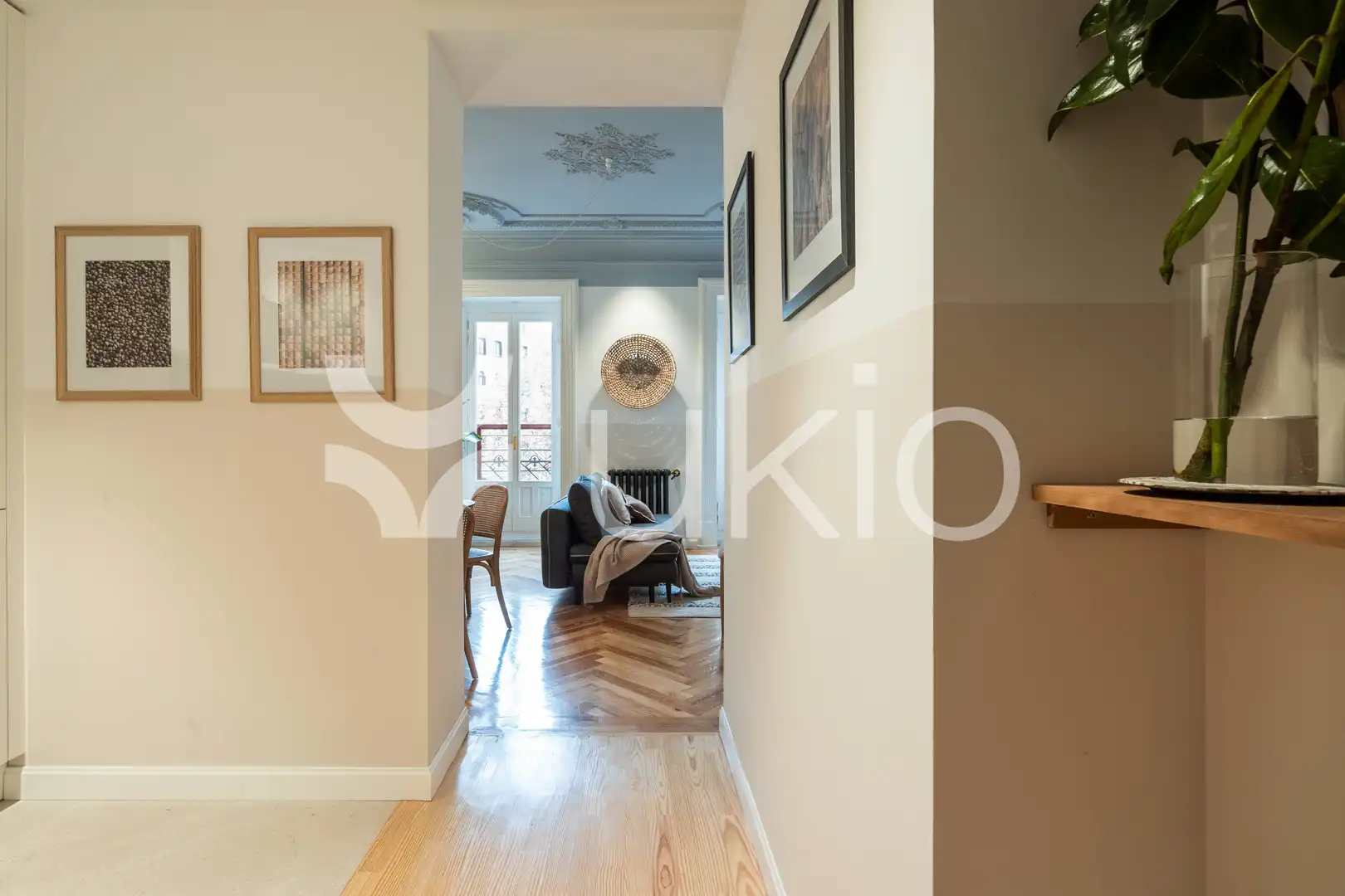 Appartement compact avec terrasse à louer à Calle de Francisco de Rojas, imagen 12