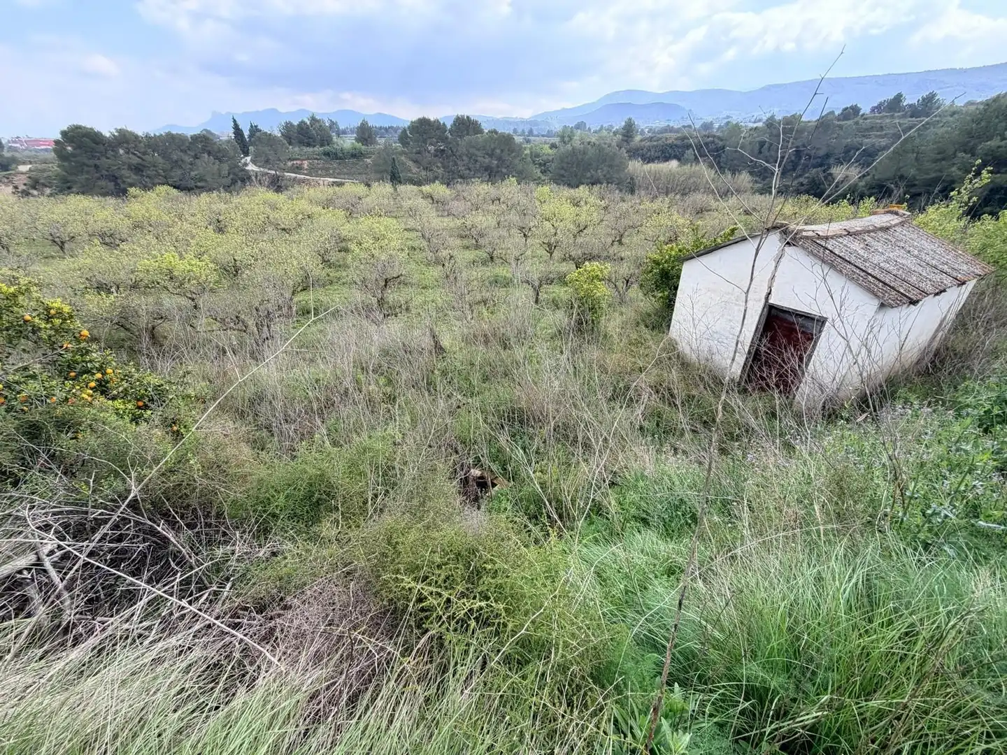 Rural land for sale in Benissoda, imagen 6