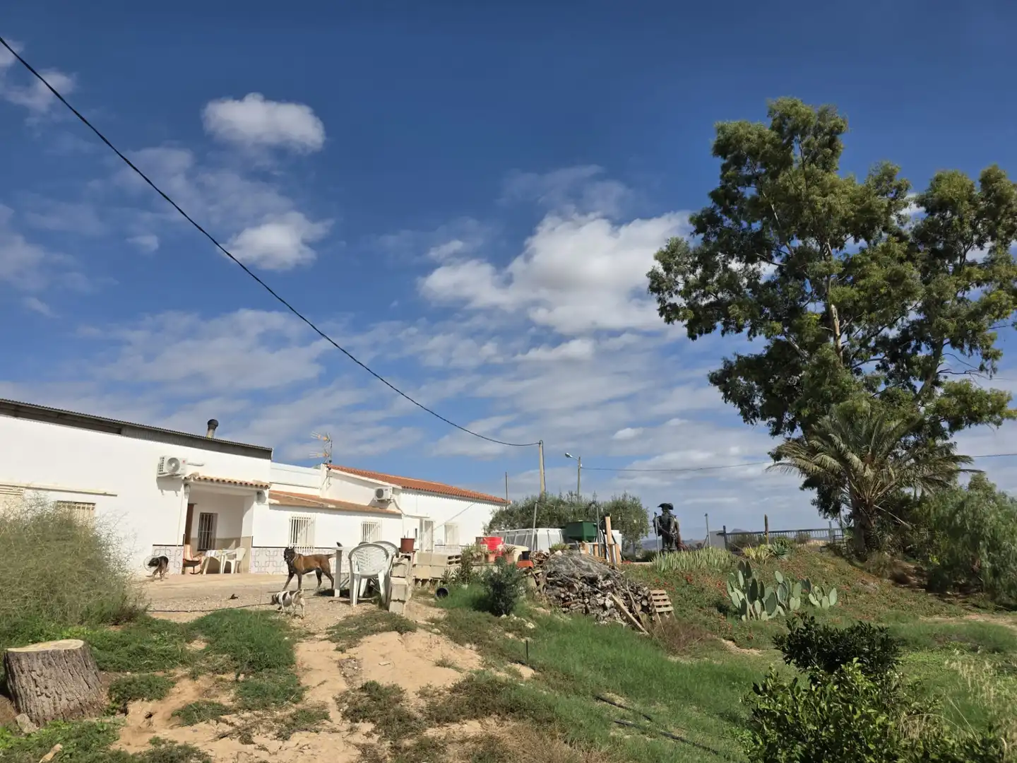 Landhaus mit Garten zum Verkauf in Avenida Santa Ana, imagen 2