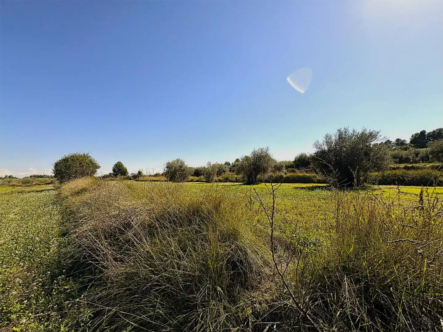 Finca rústica en venda a Camino Pieza de Navarro, 132, Moratalla