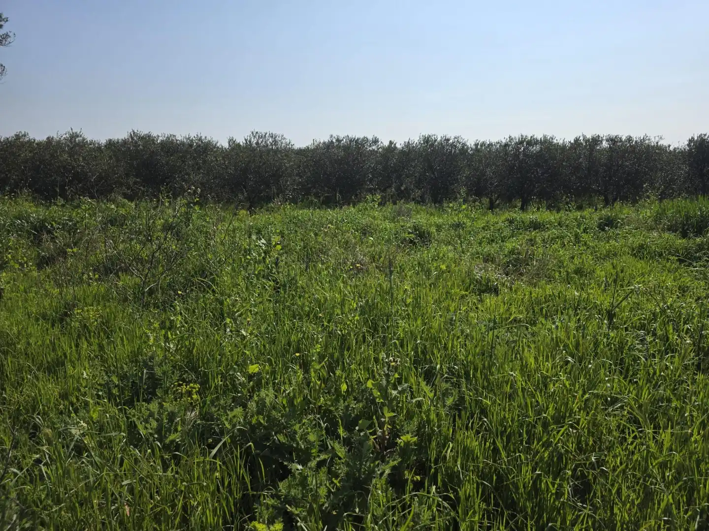 Terreno rustico in vendita a del Polígon Industrial 'La Ravaleta', imagen 15