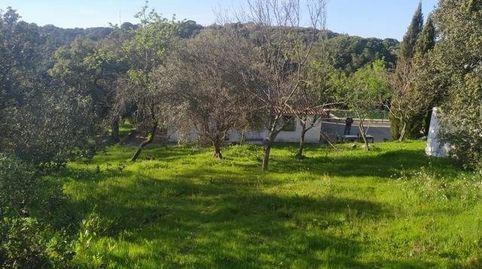 Foto 5 de Casa o chalet en venta en El Higuerón, Córdoba Capital