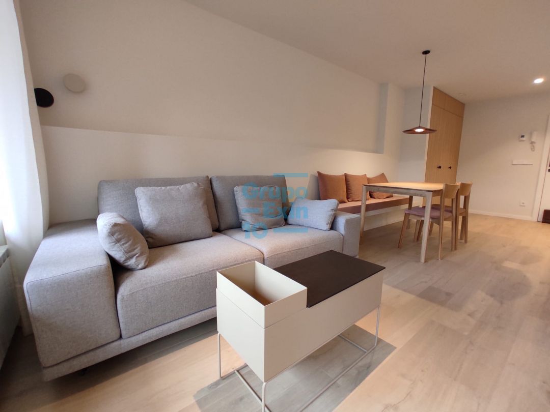 Living room of Flat to rent in Donostia - San Sebastián   with Heating, Private garden and Terrace