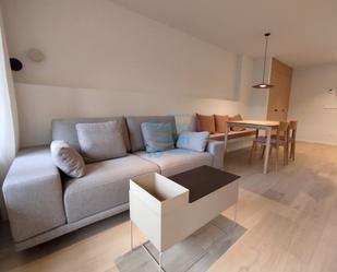 Sala d'estar de Pis de lloguer en Donostia - San Sebastián  amb Calefacció, Jardí privat i Terrassa