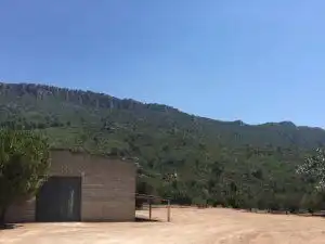 Vista exterior de Nau industrial en venda en La Riba